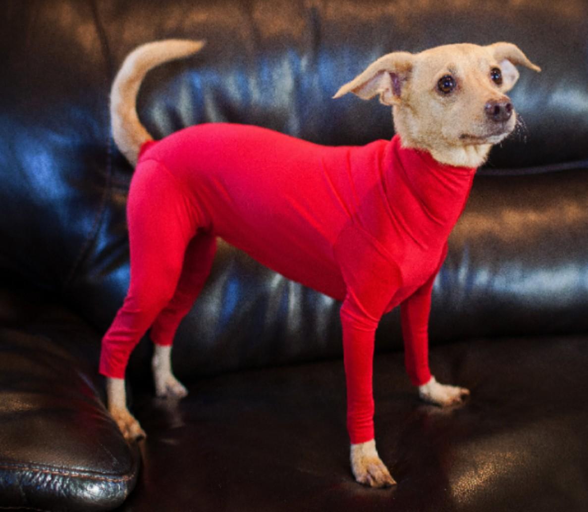 Dog Jumpsuit Zip Up Dog Plain Blank Clothes