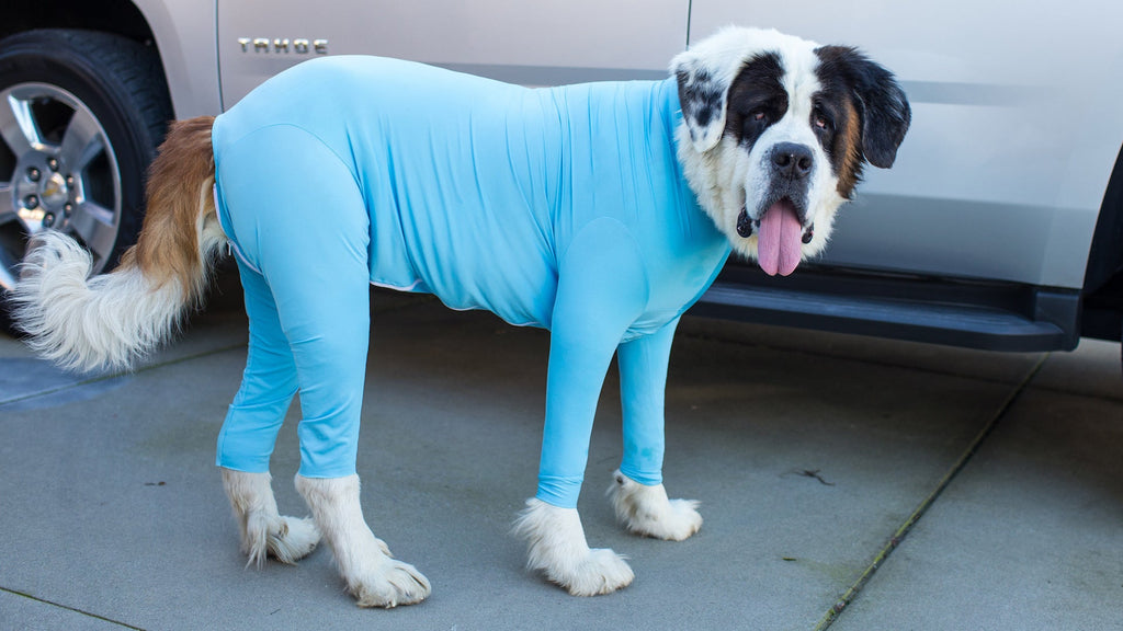 Dog Jumpsuit Zip Up Dog Plain Blank Clothes