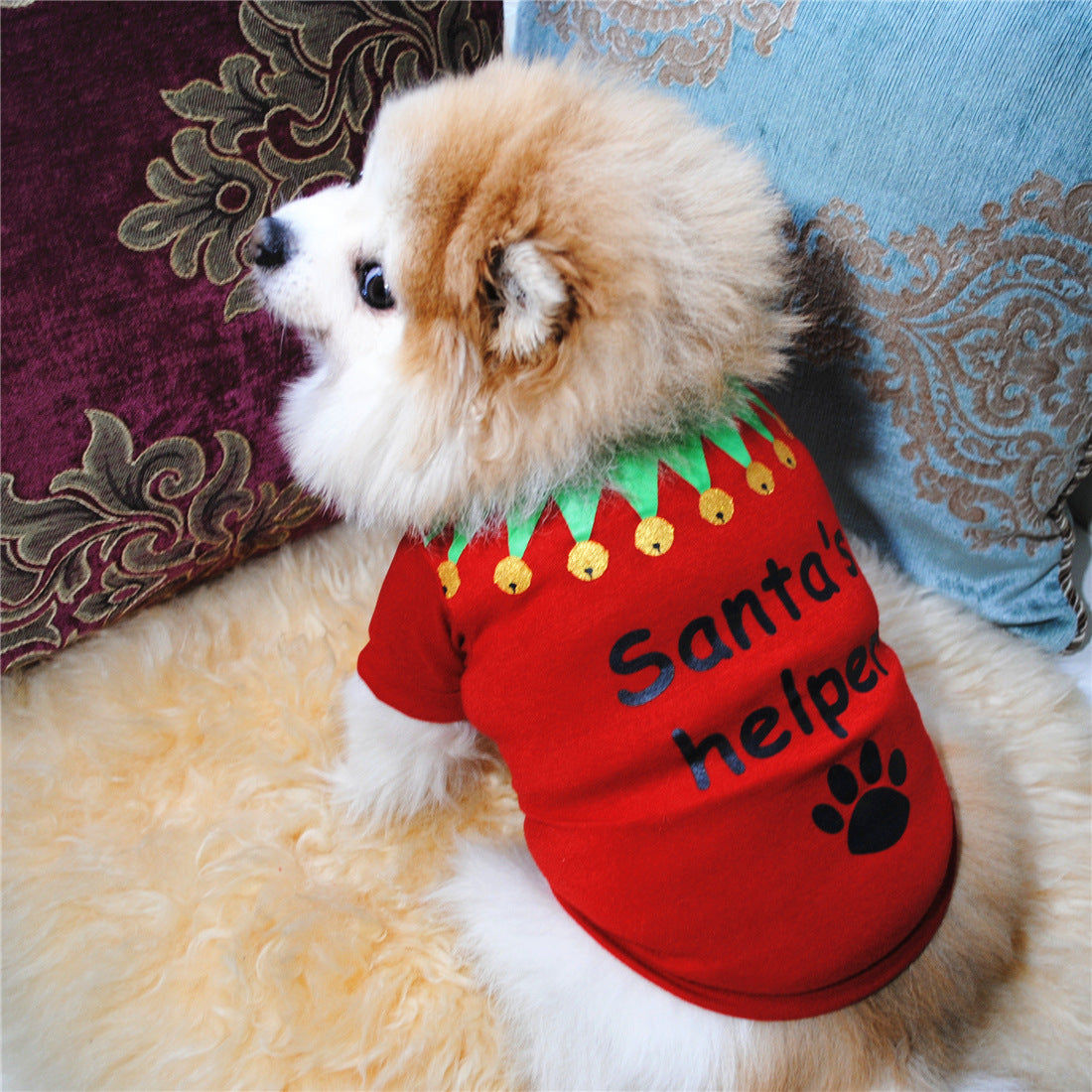 Cute Dog Clothing Christmas Shirt