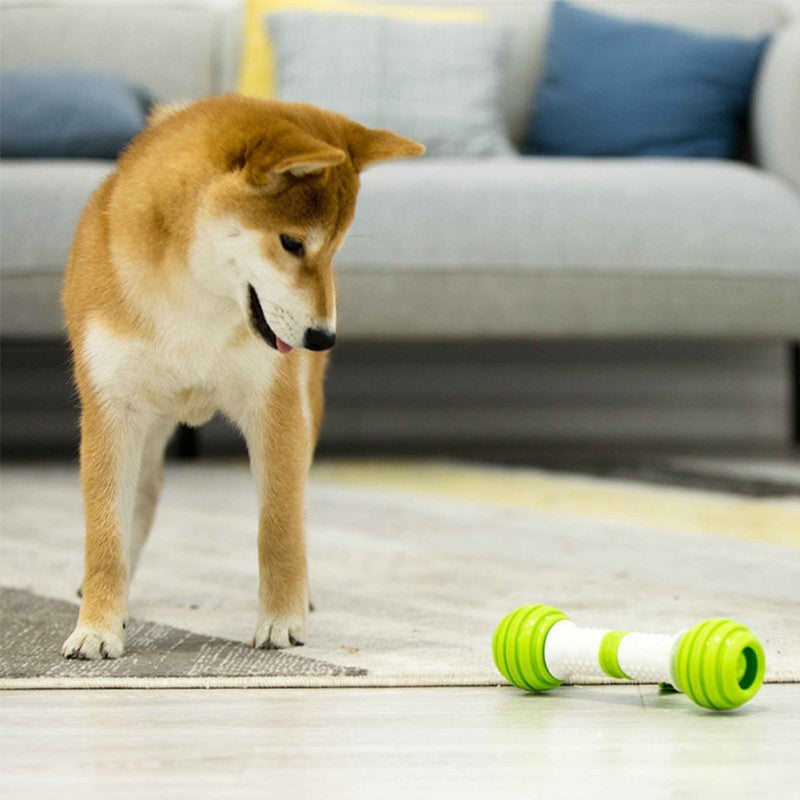 Happy bone electric automatic dog toy