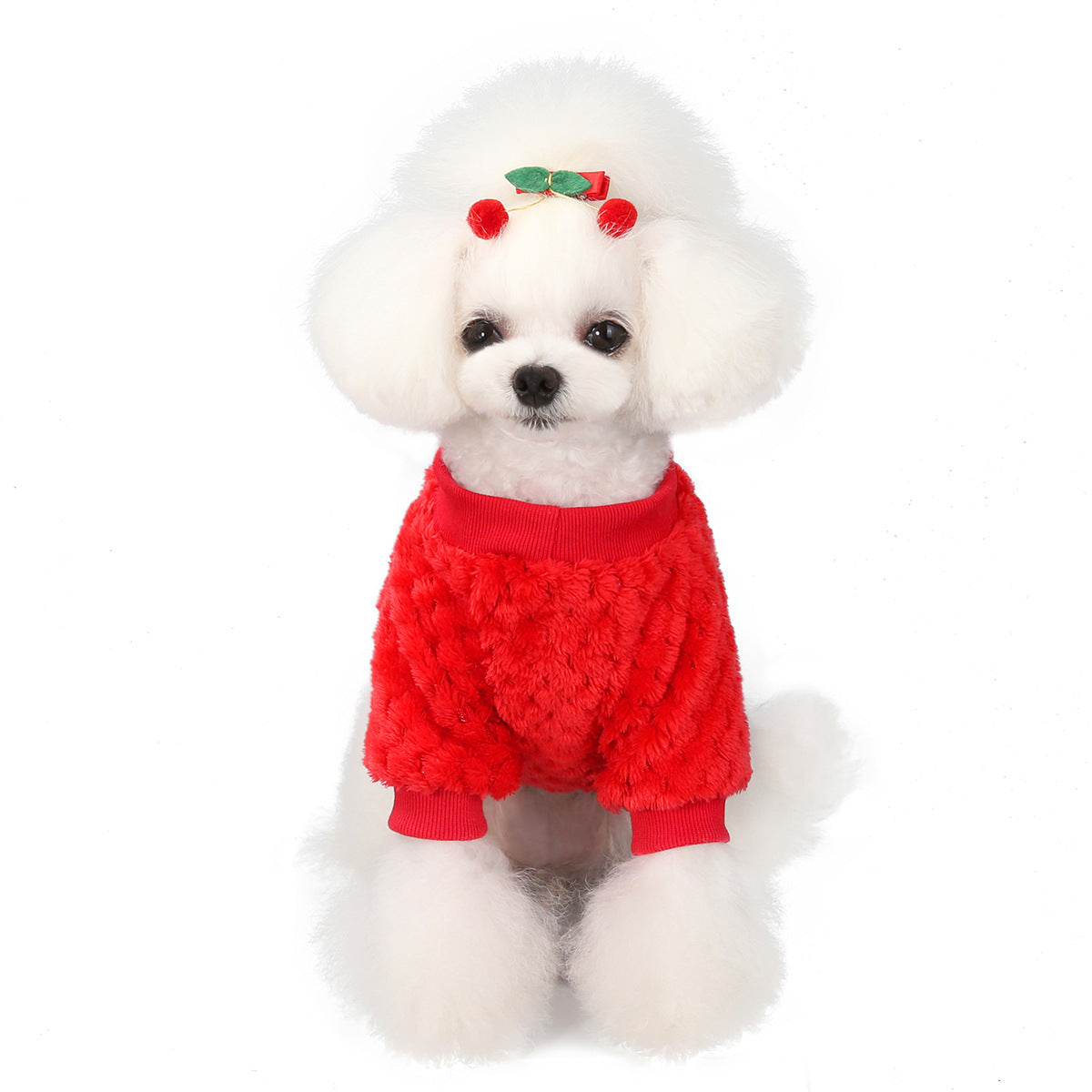 Super Cute Dog Sweater Winter Clothes