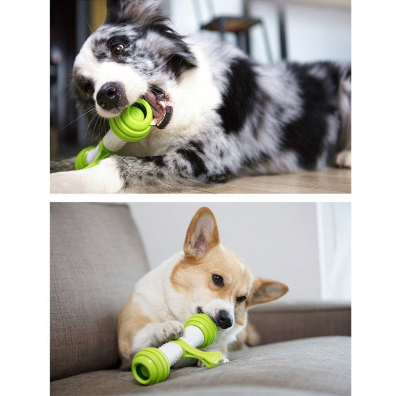 Happy bone electric automatic dog toy