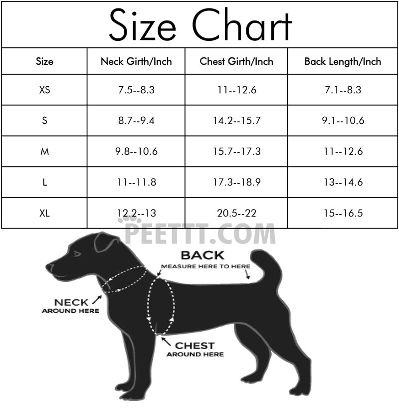 Halloween Dog Clothes Dinosaur Costume